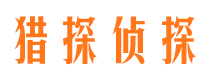 蚌山调查公司